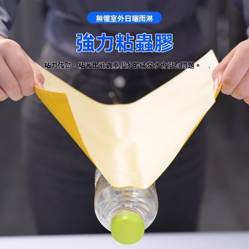 雙面防水沾蟲板