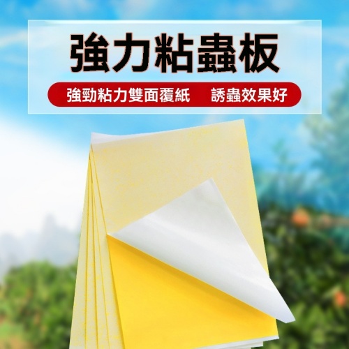 雙面防水沾蟲板